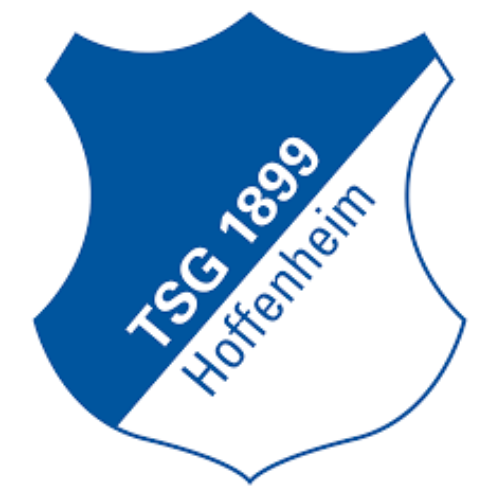 TSG 1899 Hoffenheim DE